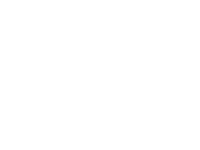 James Solheim Award for Best Film of the Year * Trenton Film Festival: Regional Documentaries 2024