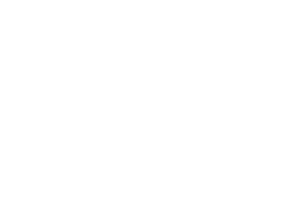 Award of Excellence for History / Biographical - The IndieFEST Film Awards 2023